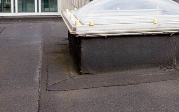 disadvantages of Vinehall Street flat roofs