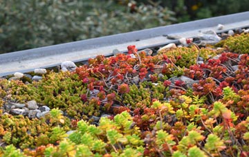 the cost of Vinehall Street green roof installation