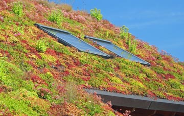 Vinehall Street living roof systems