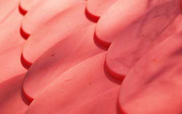 Vinehall Street plastic roof costs