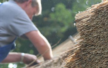 professional Vinehall Street thatchers