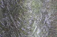 Vinehall Street fibreglass roof work